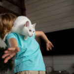 Quel est le meilleur jeu pour un chat ?