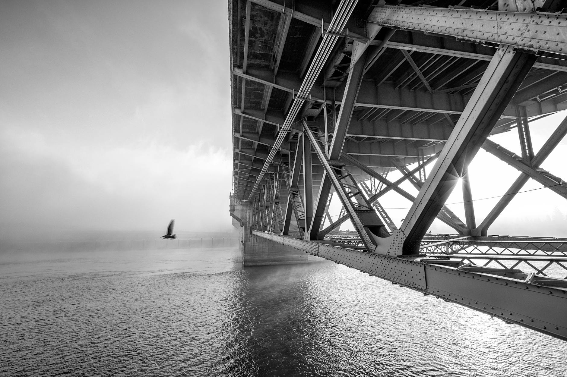Île de Pandala dans Dofus avec pont d'accès et atmosphère japonaise mystique