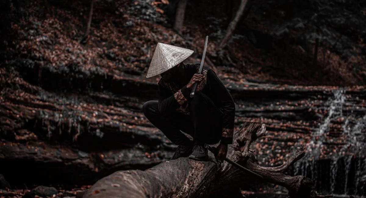 Illustration, coflix ninja