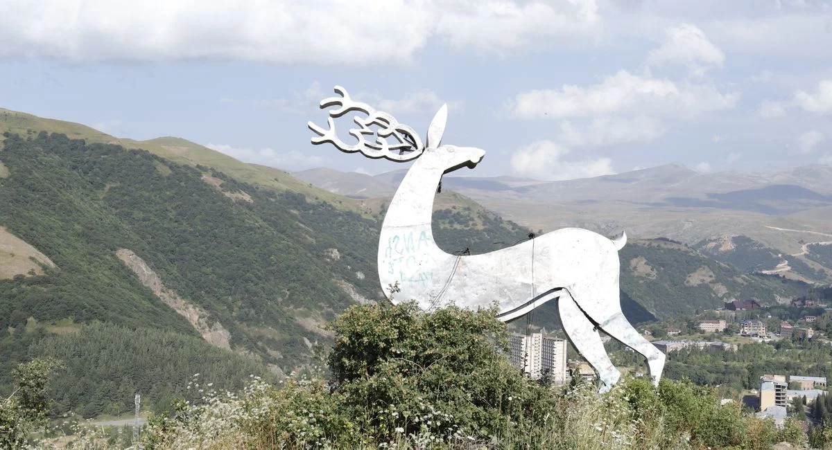 Illustration, vomzor